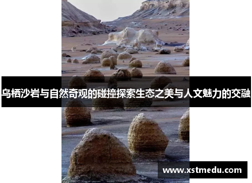 乌栖沙岩与自然奇观的碰撞探索生态之美与人文魅力的交融