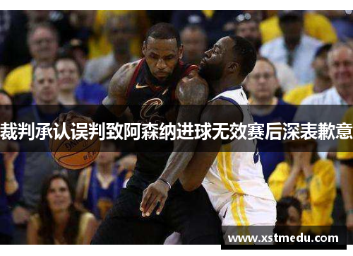 裁判承认误判致阿森纳进球无效赛后深表歉意